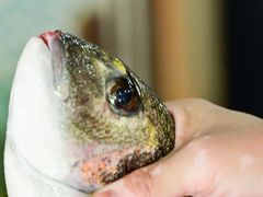 -巽寮印象美食部落餐厅·海鲜·地方特色菜(惠州体验店)