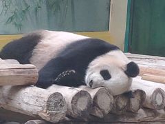 -杭州野生动物世界
