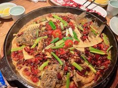 -老板恋上鱼(高新万达店)