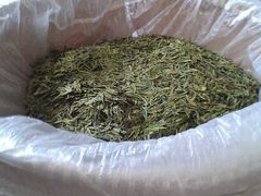 纪念品-九溪烟树