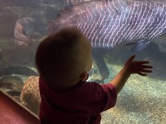 -太平洋海底世界