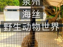 -泉州海丝野生动物世界