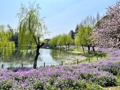 -尚湖风景区