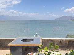 -野菌皇海景野生菌火锅(滨海大道店)