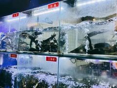 -石锅苗苗鱼(武汉首店)