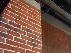 -长藤鬼校(龙翔店)