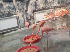 -武汉动物园
