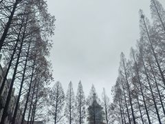 -南京晨光1865创意产业园