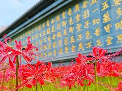 -西安大兴善寺