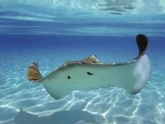 -临沂极地海洋王国