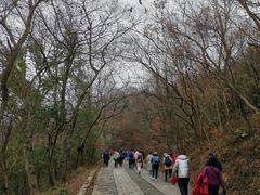-紫金山天文台