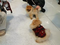 -凯德广场(西城店)