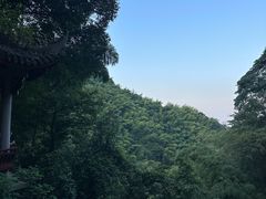 -莫干山风景区