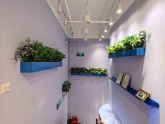 -I-Shine英语国际教育(大三林中心)