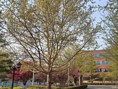 -北京市海淀外国语实验学校