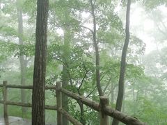 -牛背梁国家森林公园