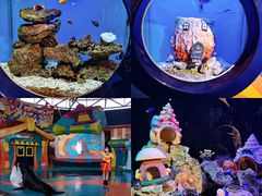 -海合安武汉极地海洋公园