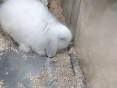 -上海大自然野生昆虫馆
