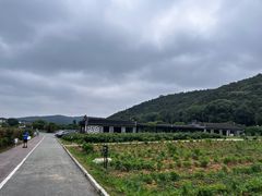 -龙寺生态园