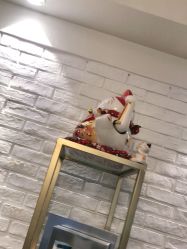 -雪儿·YuKi美甲美睫皮肤管理Salon