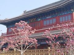 -西海子公园