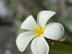 -王权免税店(普吉市区店)