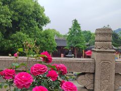 -惠山古镇·寄畅园