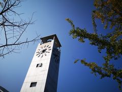 -千岛湖豪华休闲游