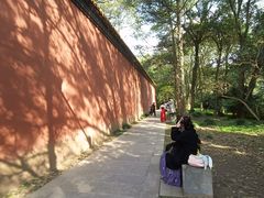 -紫金山山顶公园