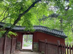 -阳台山自然风景区