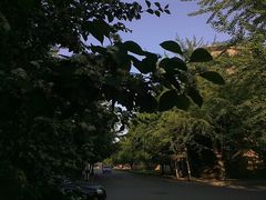 -辽宁大学(崇山校区)