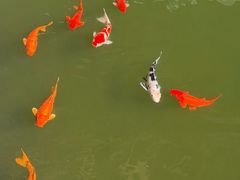-海南文笔峰盘古文化旅游区