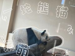 -宁波野生动物园