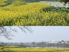 -两河城市森林公园