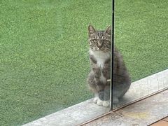 -UNIUNI(凯瑟琳广场店)