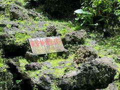 -海口火山口国家地质公园