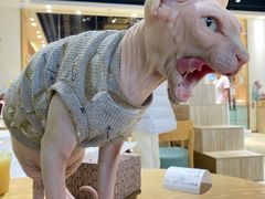 -藏猫猫咖啡主题馆(中央大道店)