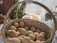 -马陆小张葡萄园农家乐