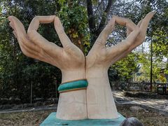 -瑞丽独树成林风景区