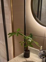 -苑苑vbeauty科技美容SPA