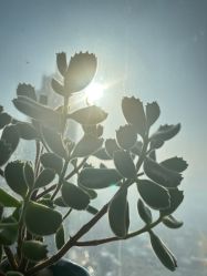 -MASTER 男士发型设计