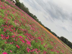 -江苏三台山国家森林公园