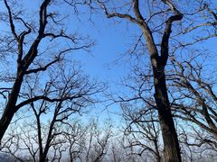 -终南山南五台景区