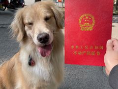 -房地产交易中心-停车场