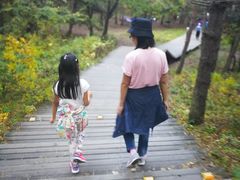 -帽儿山国家森林公园