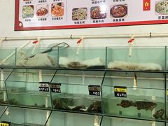 -陈岱后山窑鸡店