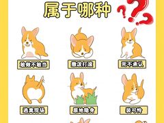 -北京佳信宠物医院