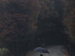 -山王坪喀斯特国家生态公园