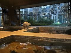 -中家鑫园温泉酒店鑫悦汤泉