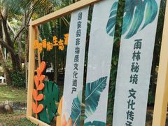 -呀诺达热带雨林